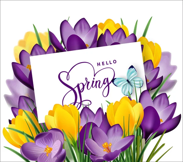 Greeting card with bouquet of spring flowers crocuses in the envelope.Vector template. — Stock Vector