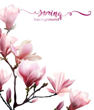 Manolya çiçeği brunch ile bahar arka plan. Şablon vektör.