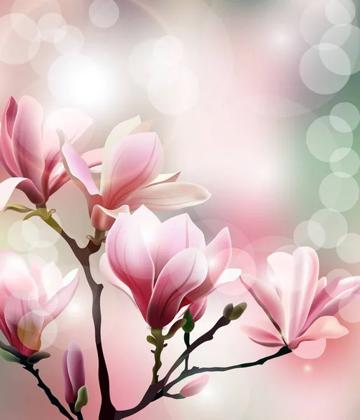 Lente achtergrond met bloesem brunch van Magnolia. Sjabloon Vector. — Stockvector