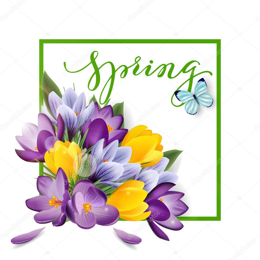 Spring background with blooming spring flowers, crocuses. Vector