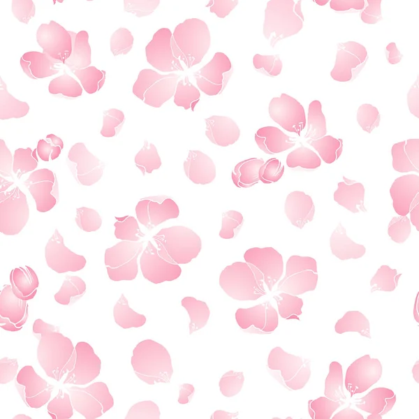 Apfelblüten, Blütenblätter von Hand isoliert auf weißem Hintergrund gezeichnet, nahtlose Vektormuster Vektorschablone — Stockvektor