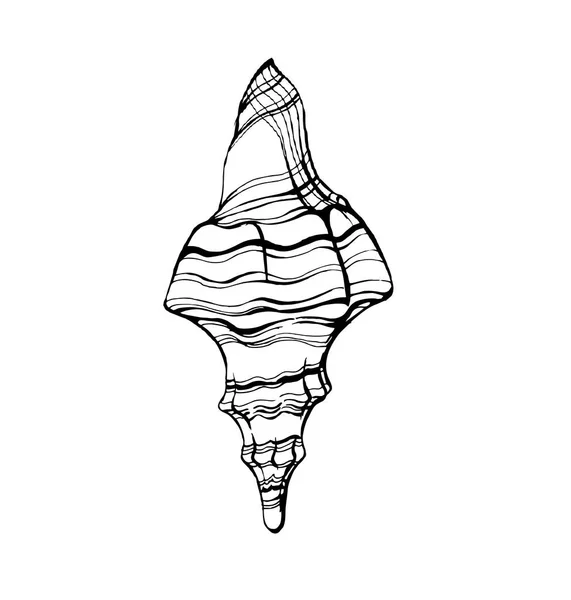 Sea shell, schets stijl vectorillustratie geïsoleerd op een witte achtergrond. Sjabloon Vector. — Stockvector