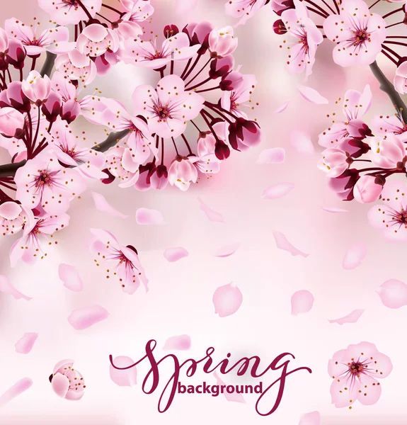 Krásný tisk s kvetoucí sakura tmavě a světle růžové květy. Jaro na pozadí. Šablona pro pozvánku, birthdaycard, banner, krásy, pozadí vektorové ilustrace — Stockový vektor