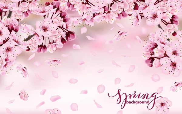 Beautiful horizontal banner with blossoming dark and light pink sakura flowers. Spring background. Template for invitation card, birthdaycard, banner, beauty, background Vector illustration — Stock Vector