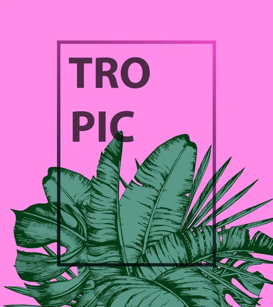Foglie di palma tropicale su sfondo rosa. Natura minimale concetto estivo. Piatto. Trendy estate tropicale foglie vettoriale design . — Vettoriale Stock