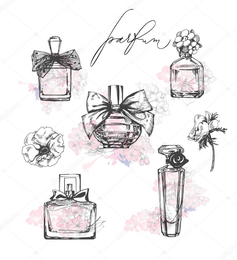 A set of beautiful bottles of perfume. Women's perfume. Vector watercolor. Elements for design.Template Vector.