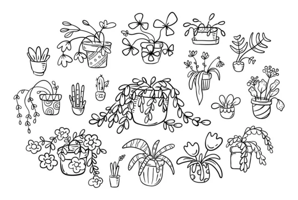 A set of cartoon doodle houseplants in pots — Stock Vector