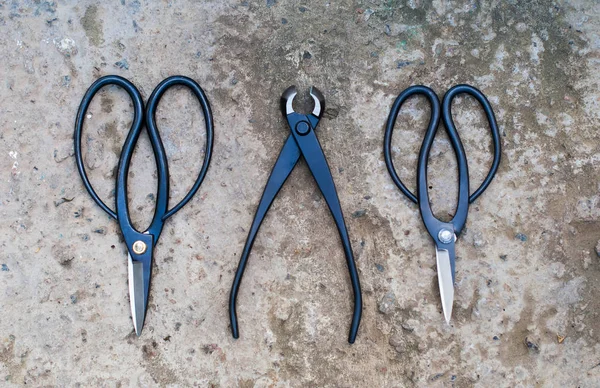 Garden tools on a rough texture — Stock Photo, Image