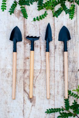 Bahçe aletleri houseplants için. Helikopter ve süs çiçek için bir komisyon.