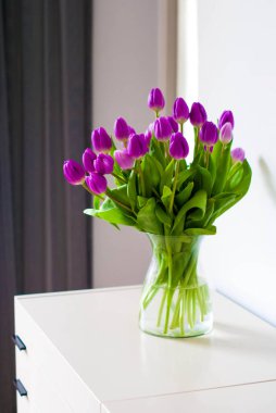 Parlak bir odada taze mor laleler.