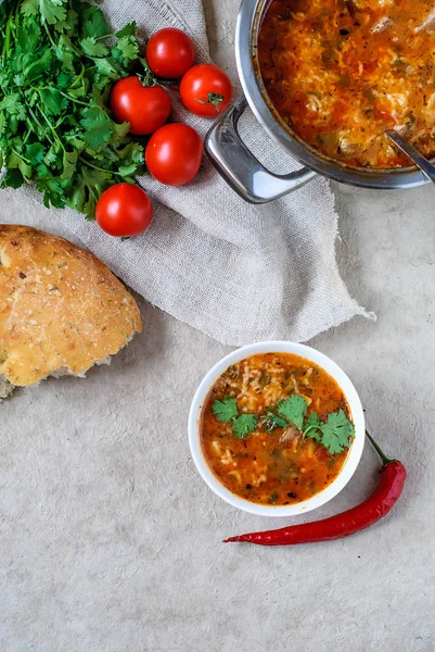 Грузинский суп харчо с лаваш. Национальное блюдо грузинского харчо. Суп харчо с кинзой и овощами на деревянном столе . — стоковое фото