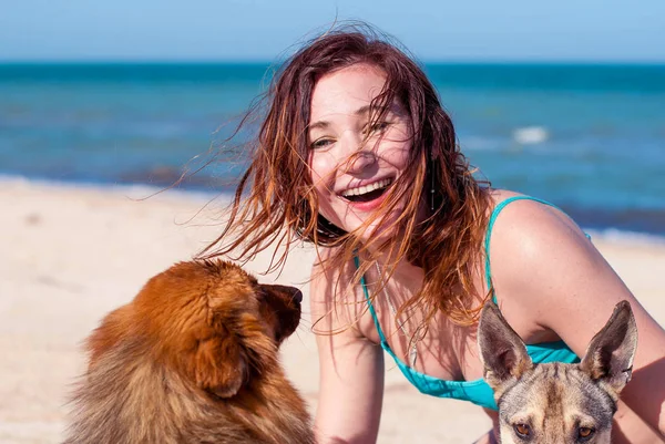 Mutlu kız sahilde iki köpek ile. Güzel bir kız güler ve köpekler sarılarak. Sokak köpeği ve mutlu bir kadın.