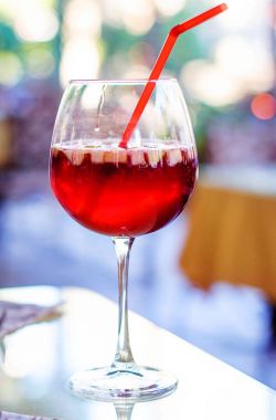 İspanyolca adet meyve ve baharat ile bir bardak soğuk sangria içki şarap.