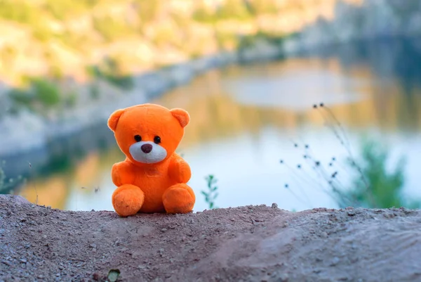 Rosa Teddybär über die Klippe in der untergehenden Sonne. — Stockfoto