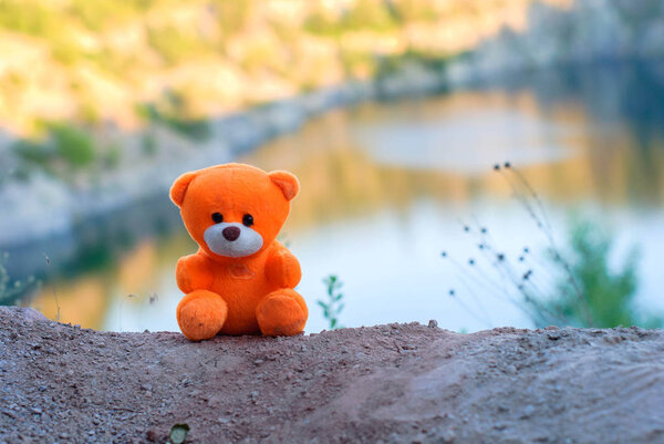 Pink teddy bear over the cliff in the setting sun.