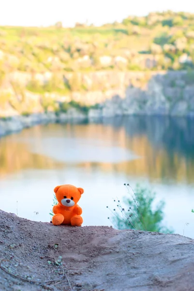 Rosa osito de peluche sobre el acantilado en el sol poniente . —  Fotos de Stock