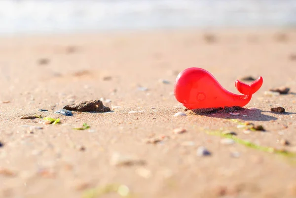 Plastik oyuncak kırmızı balina deniz kıyısı arka planı için