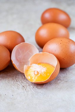 Sadece kahverengi tavuk yumurtası ve bir kırık yumurta yumurta sarısı ile