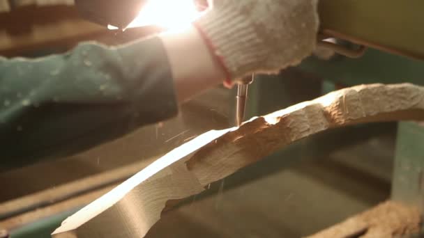 Manuelle Bearbeitung von Holz mit Werkzeugen im Holz- und Möbelwerk — Stockvideo