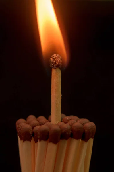 Matches with multi-colored heads. — Stock Photo, Image