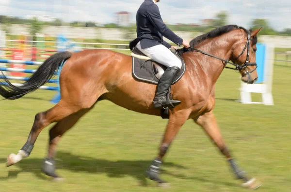 Compétitions dans le sport équestre avec surmonter les obstacles . — Photo