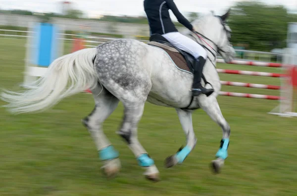 Competitions in equestrian sport with overcoming obstacles.