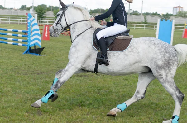 Competitions in equestrian sport with overcoming obstacles.