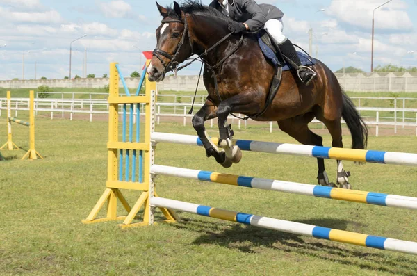 Yarışmalar üstesinden engeller ile atlı spor.