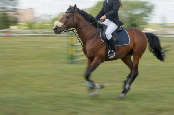 Competitions in equestrian sport with overcoming obstacles.