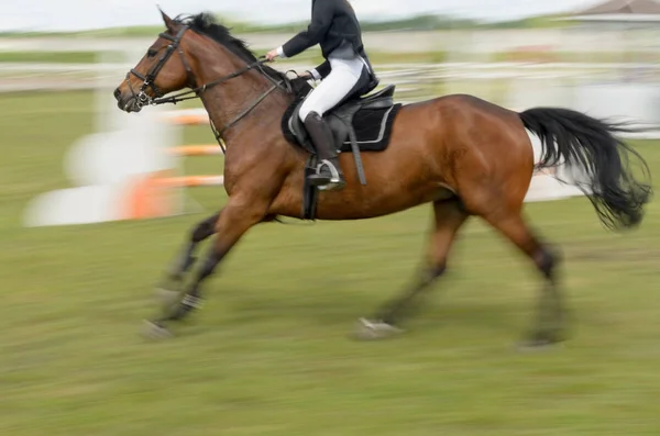 Wettbewerbe im Pferdesport mit der Überwindung von Hindernissen. — Stockfoto