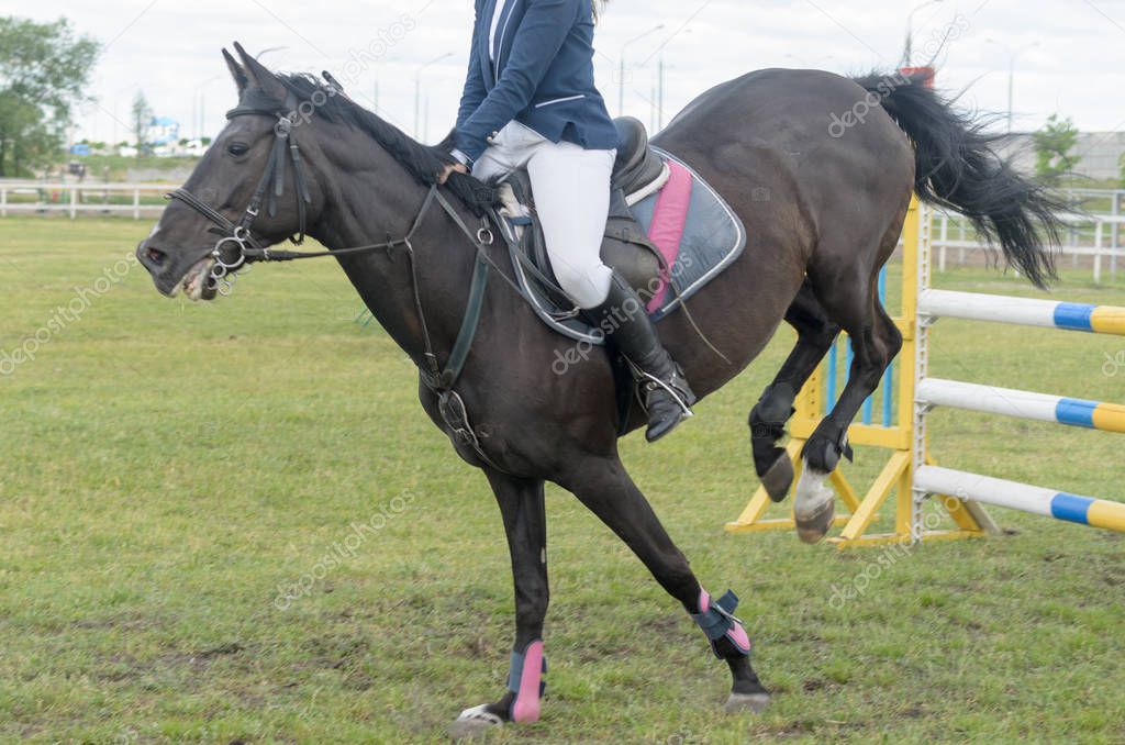 Competitions in equestrian sport with overcoming obstacles.