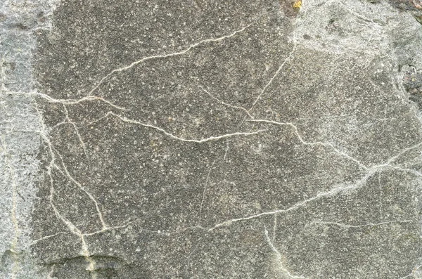 Textuur van vervallen beton met witte aderen. — Stockfoto