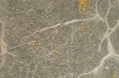 Doku harap beton beyaz damarlı.