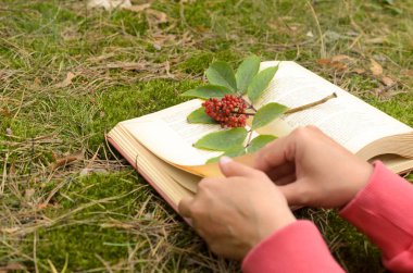 Çimenlerin üzerinde açık bir kitap bir şube çilek ile süslenmiş.