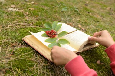 Çimenlerin üzerinde açık bir kitap bir şube çilek ile süslenmiş.