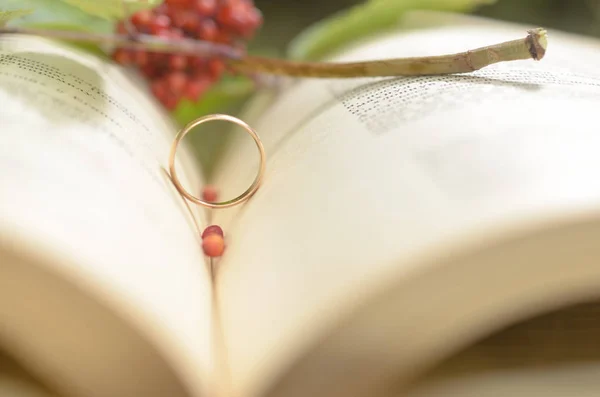 Відкрита книга з обручкою як символом любові . — стокове фото