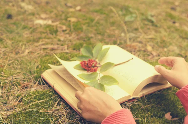 Çimenlerin üzerinde açık bir kitap bir şube çilek ile süslenmiş.