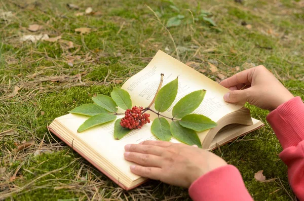 Un livre ouvert sur l'herbe décoré d'une branche avec des baies . — Photo