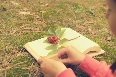 Çimenlerin üzerinde açık bir kitap bir şube çilek ile süslenmiş.