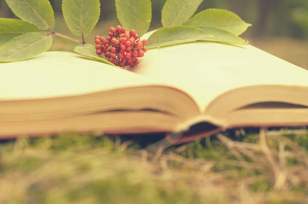 Відкрита книга на траві, прикрашена гілкою з ягодами . — стокове фото