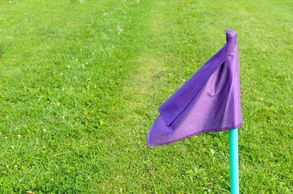 Bandiere lilla sull'erba verde di un campo da calcio . — Foto Stock