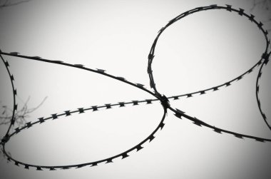 Dikenli tel unfreedom, yoksunluk ve toplama kampları bir semboldür.