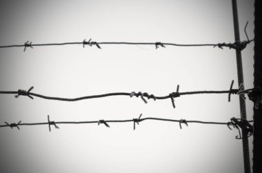Dikenli tel unfreedom, yoksunluk ve toplama kampları bir semboldür.