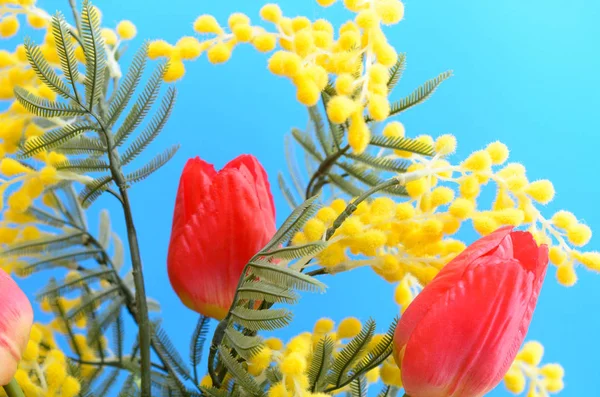 Tulipes rouge vif dans un bouquet sur fond bleu . — Photo