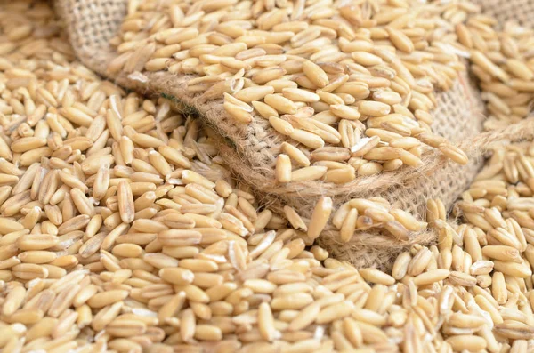 Tahıl taneleri bitkileri bir çanta üzerinde dağınık yulaf.