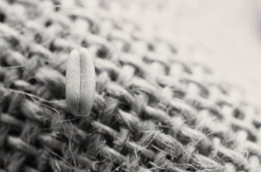 Tahıl Hububat, makro çul malzeme üzerinde.