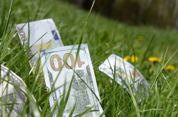 Dollar- und Eurowerte im grünen Gras. — Stockfoto