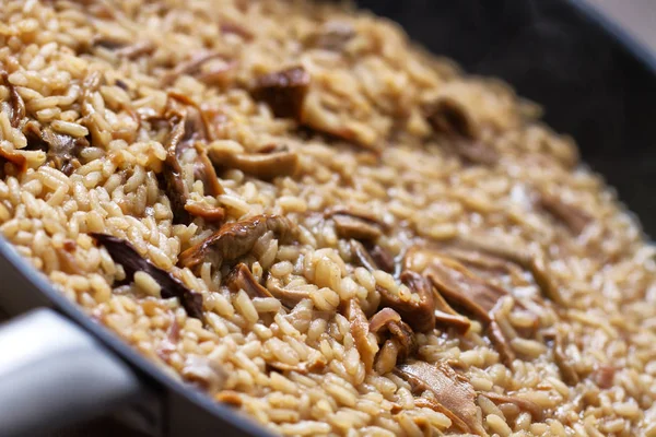 Grzyby leśne risotto z natką pietruszki i parmezanem — Zdjęcie stockowe