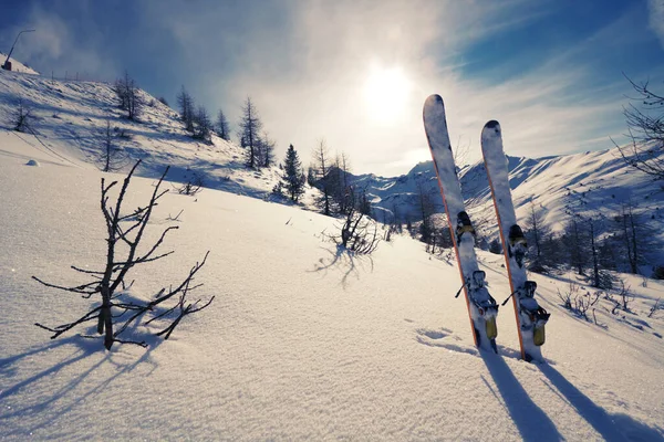 Skis dans la neige dans les montagnes — Photo