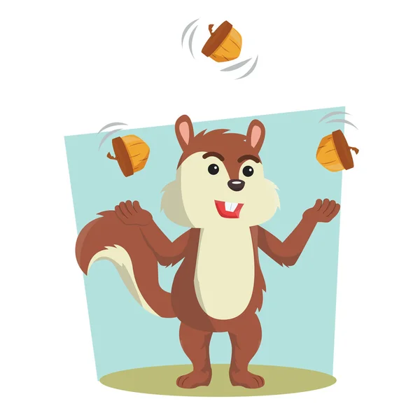 Squirrel juggling acorn vector illustration design — Stock Vector